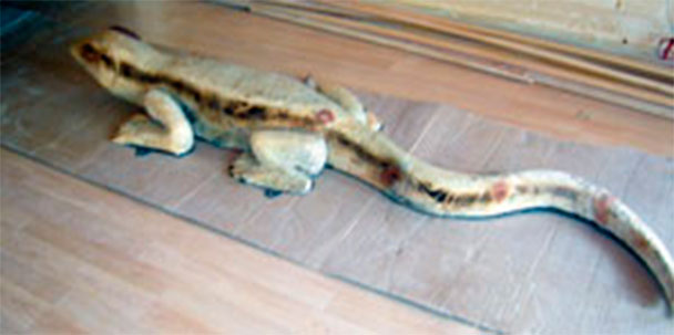 lagartijas
